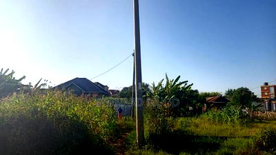 Plot for Sale in Mugutha - Image 4