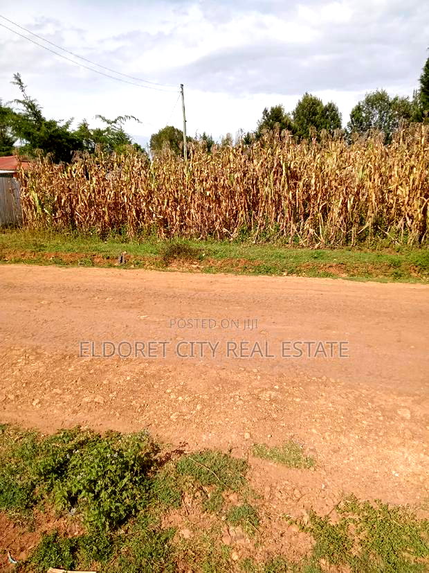 1/8 Plot Outspan With Title Less Than 300metres