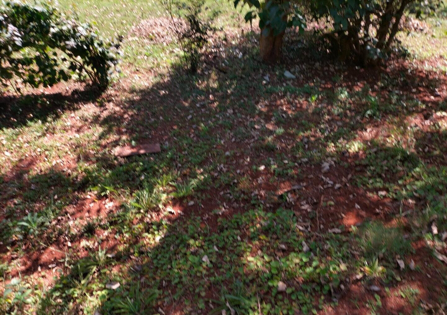 Garden Home at KSh 275K