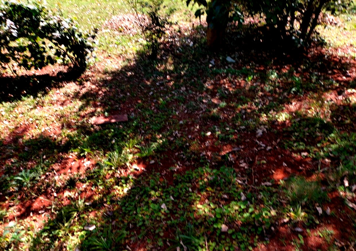 Garden Home at KSh 275K