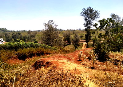 25-Acre Kitisuru Haven with Garden