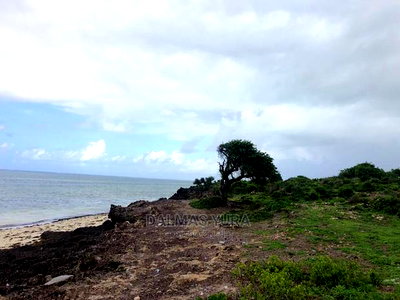 3.5 Acres Land on the Beach - Image 2