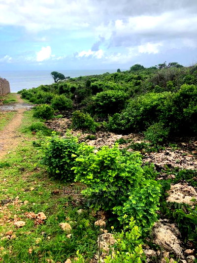 3.5 Acres Land on the Beach - Image 4