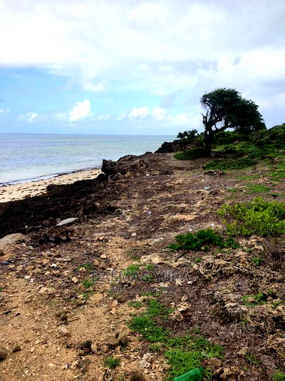 3.5 Acres Land on the Beach - Image 3