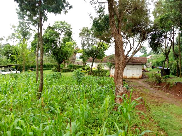 Quarter Acre Plots for Sale in Ngong Kerarapon Drive,.
