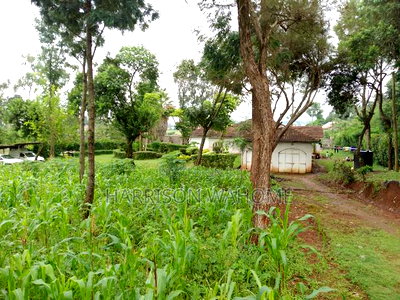 Quarter Acre Plots for Sale in Ngong Kerarapon Drive,. - Image 4