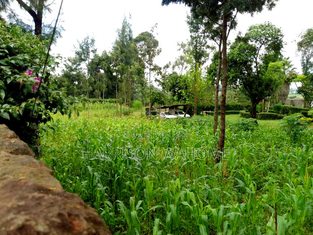 Quarter Acre Plots for Sale in Ngong Kerarapon Drive,.