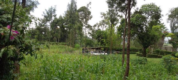 Quarter Acre Plots for Sale in Ngong Kerarapon Drive,.