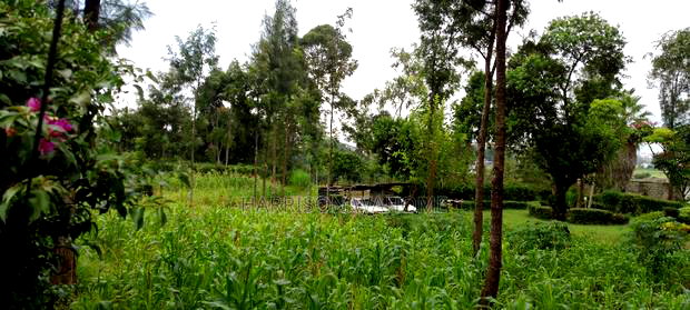 Quarter Acre Plots for Sale in Ngong Kerarapon Drive,.