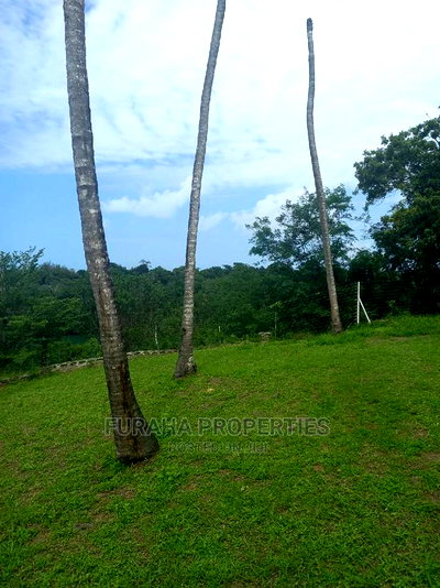 For Sale 5.4 Acres Creek Land Mtwapa. - Image 3
