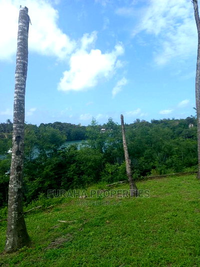 For Sale 5.4 Acres Creek Land Mtwapa. - Image 7