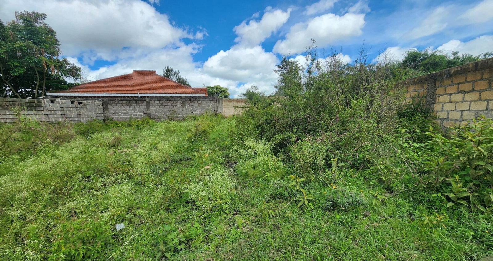 1/8 Acre Plot with Ready Title Deed - KSh 6M
