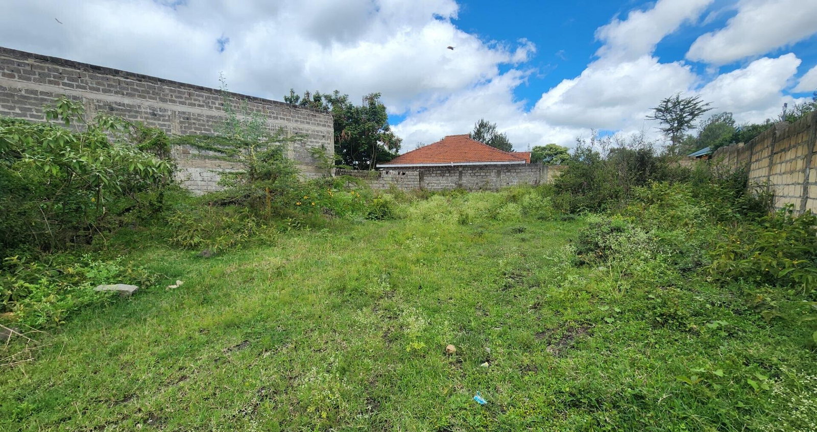 1/8 Acre Plot with Ready Title Deed - KSh 6M