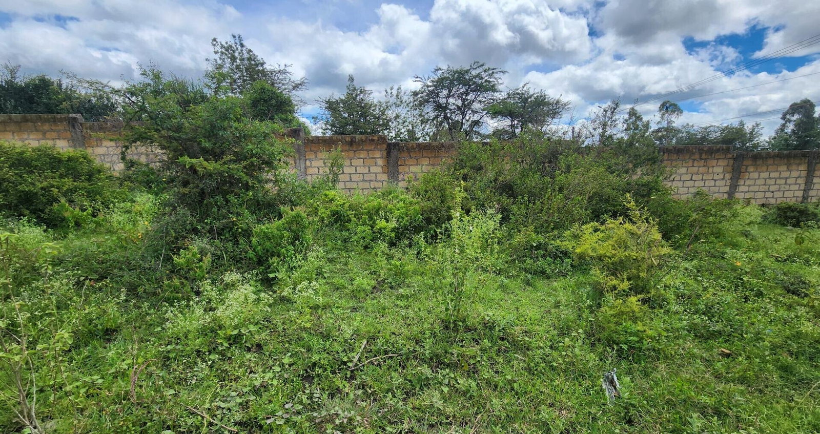 1/8 Acre Plot with Ready Title Deed - KSh 6M