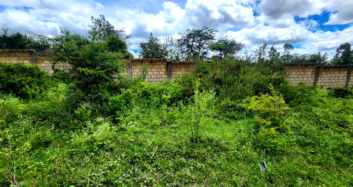 1/8 Acre Plot with Ready Title Deed - KSh 6M