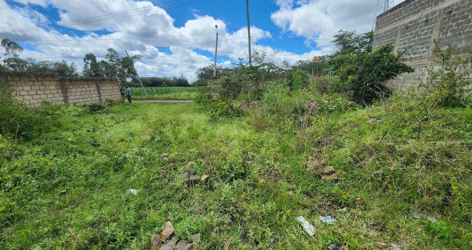 1/8 Acre Plot with Ready Title Deed - KSh 6M