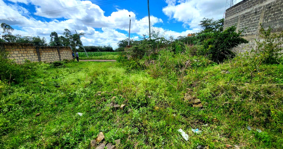 1/8 Acre Plot with Ready Title Deed - KSh 6M