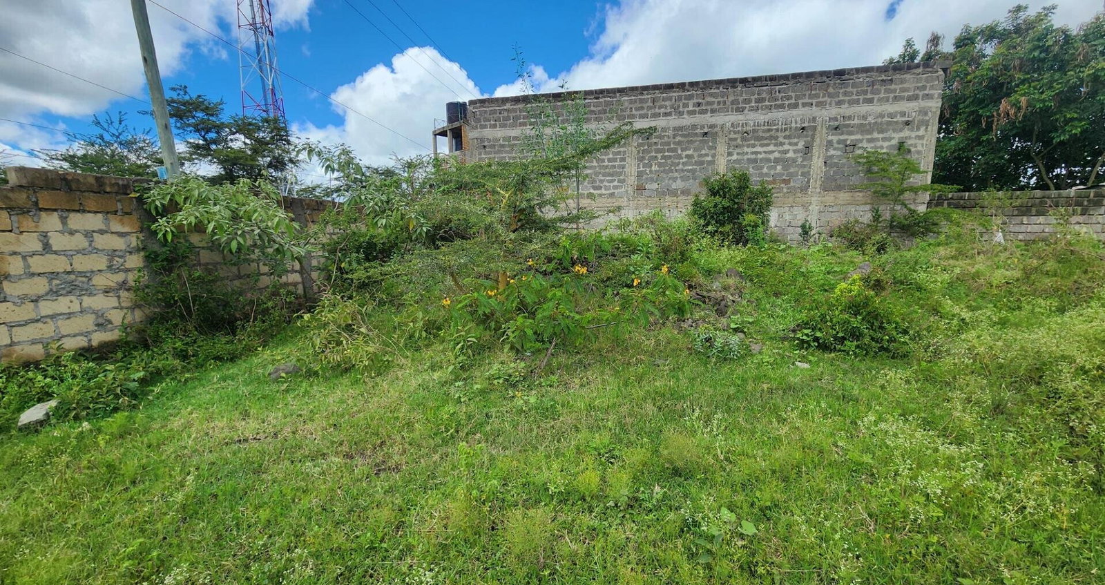 1/8 Acre Plot with Ready Title Deed - KSh 6M