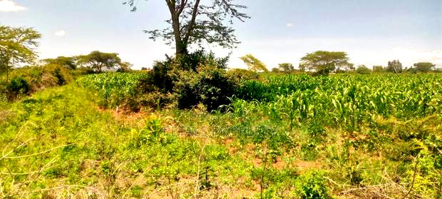 5 Acres for Sale in Kampi Ya Moto Lenginet