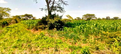 5 Acres for Sale in Kampi Ya Moto Lenginet - Image 3