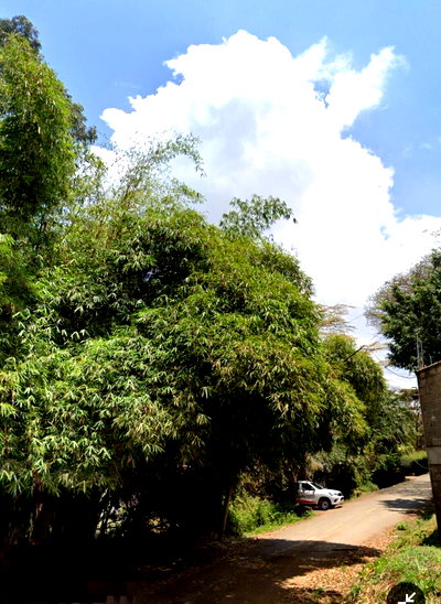 1.1-Acre Riverfront Plot in Muthaiga
