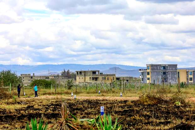 Katani Controlled Plots