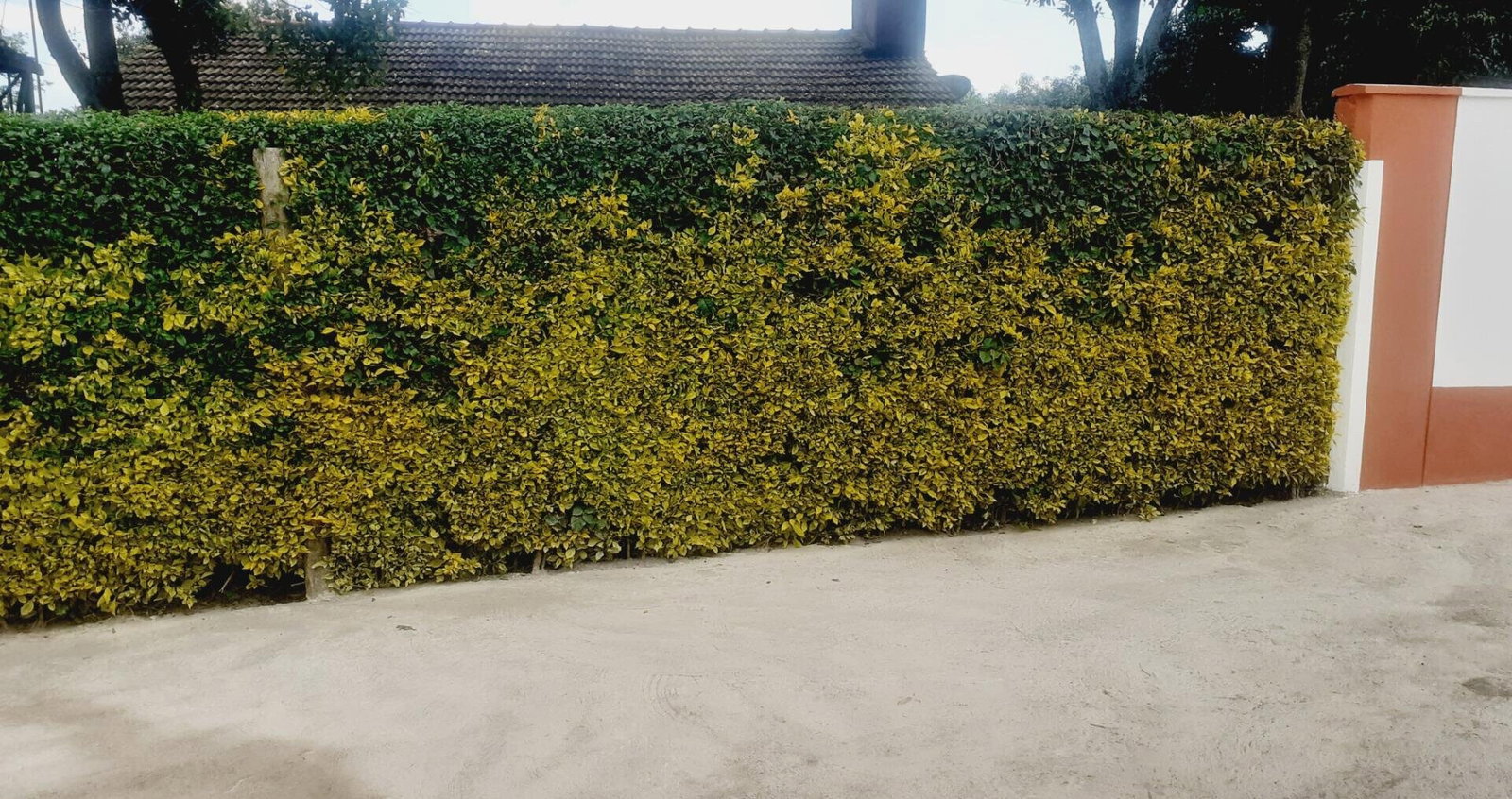 Garden Home with Parking at KSh 70K