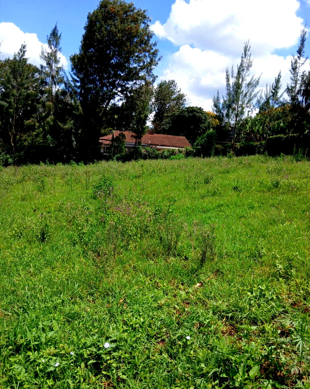 Garden Plot with Parking for KSh 13.5M
