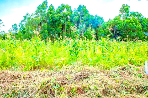 Prime Residential Plots for Sale in Gikambura, Jambu TV.