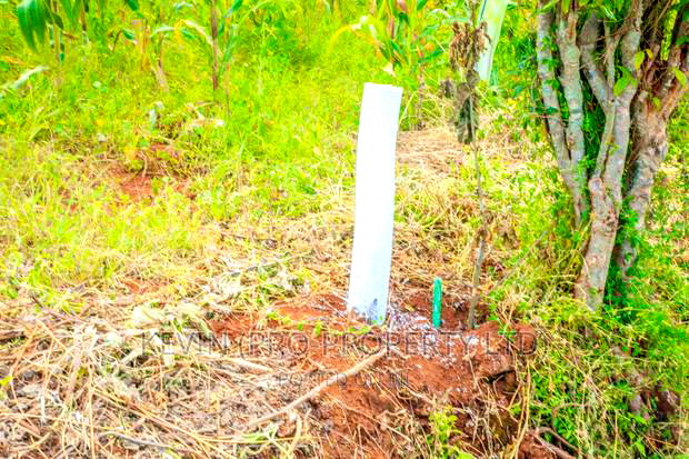 Prime Residential Plots for Sale in Gikambura, Jambu TV.