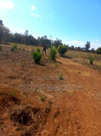 Mwea Makutano 40*80ft Plots for Sale Payable Upto 1 Year - Image 6