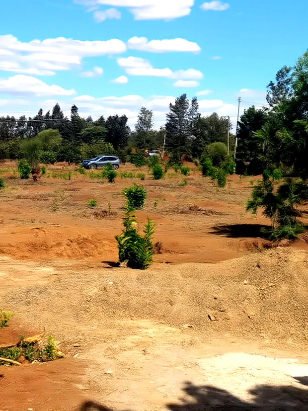 Mwea Makutano 40*80ft Plots for Sale Payable Upto 1 Year