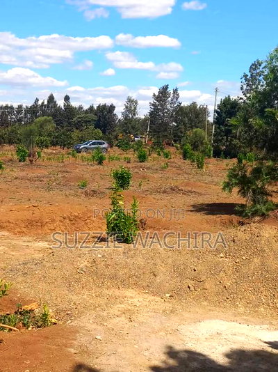 Mwea Makutano 40*80ft Plots for Sale Payable Upto 1 Year - Image 3