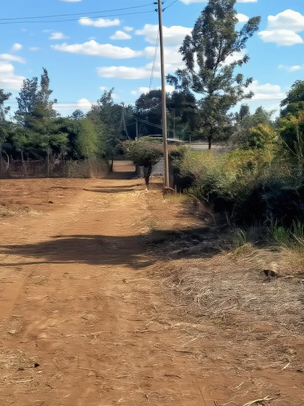 Mwea Makutano 40*80ft Plots for Sale Payable Upto 1 Year