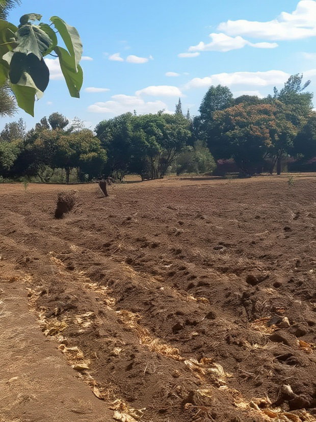 Mwea Makutano 40*80ft Plots for Sale Payable Upto 1 Year