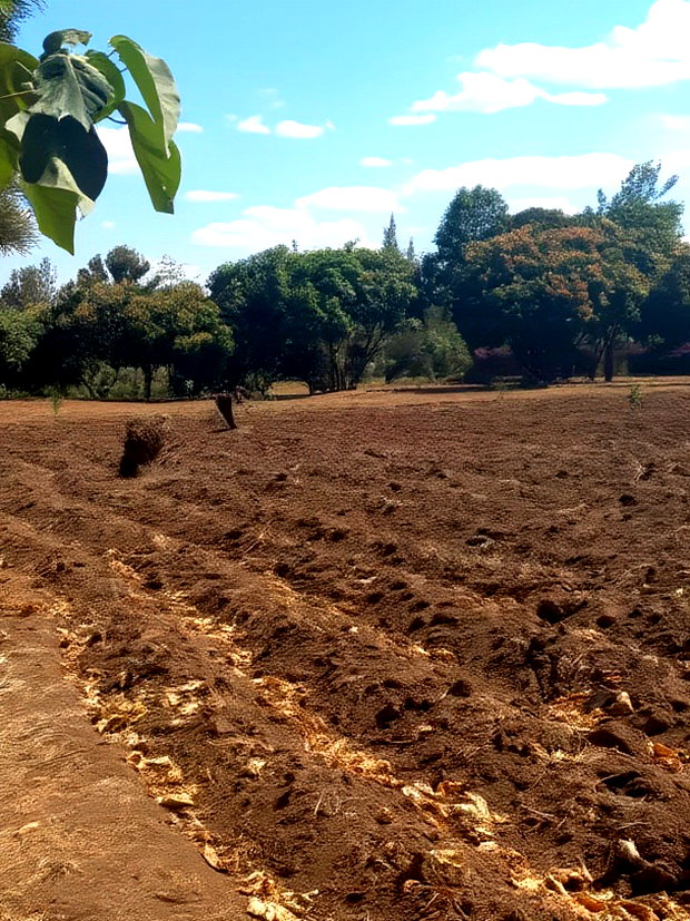 Mwea Makutano 40*80ft Plots for Sale Payable Upto 1 Year