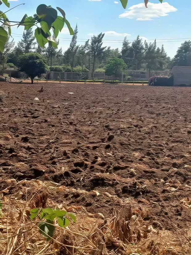 Mwea Makutano 40*80ft Plots for Sale Payable Upto 1 Year