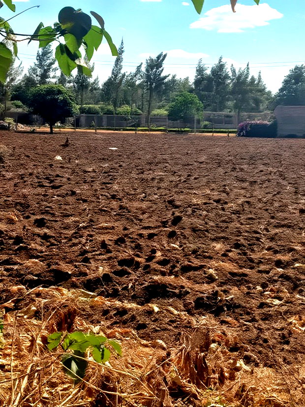 Mwea Makutano 40*80ft Plots for Sale Payable Upto 1 Year