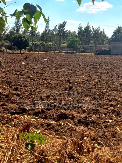 Mwea Makutano 40*80ft Plots for Sale Payable Upto 1 Year - Image 4