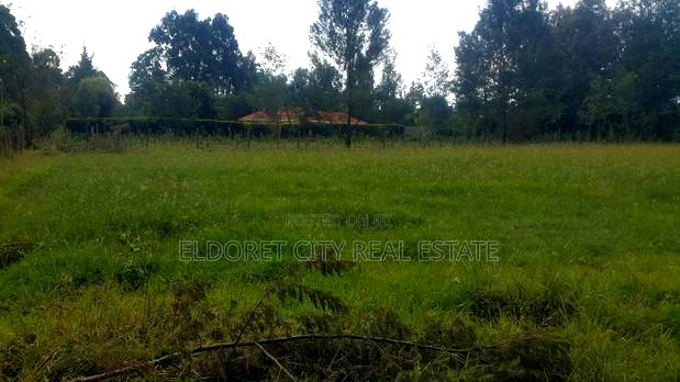 1/4 Plot Rolyton With Title