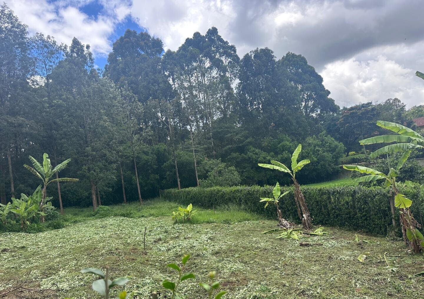 Half Acre Garden Plot at KSh 60M