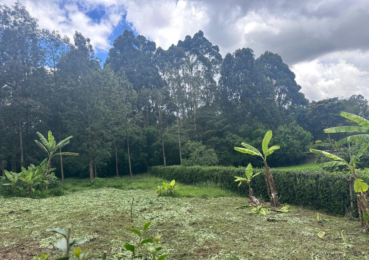 Half Acre Garden Plot at KSh 60M