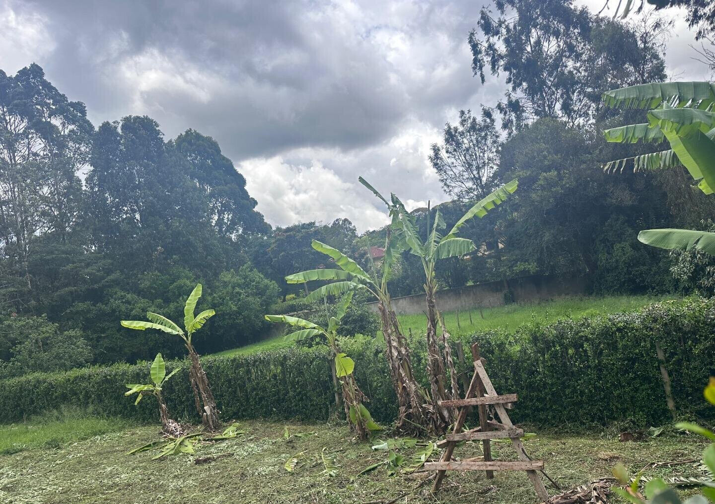 Half Acre Garden Plot at KSh 60M