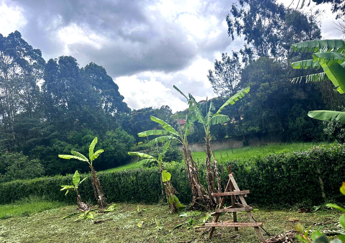 Half Acre Garden Plot at KSh 60M