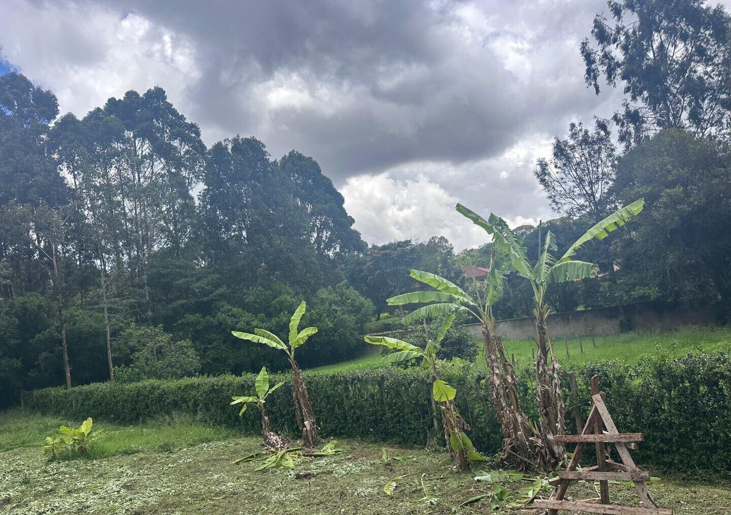 Half Acre Garden Plot at KSh 60M