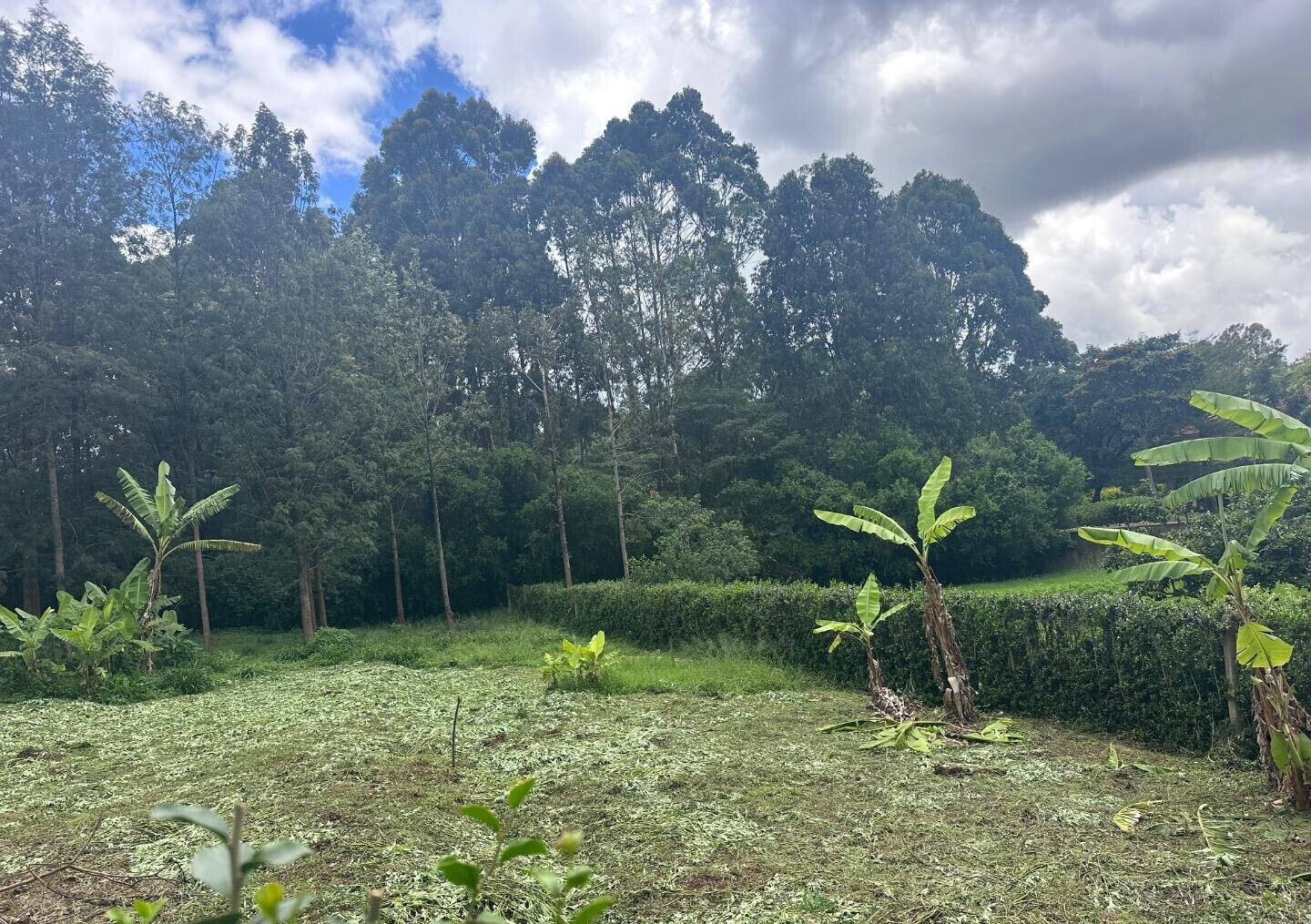 Half Acre Garden Plot at KSh 60M