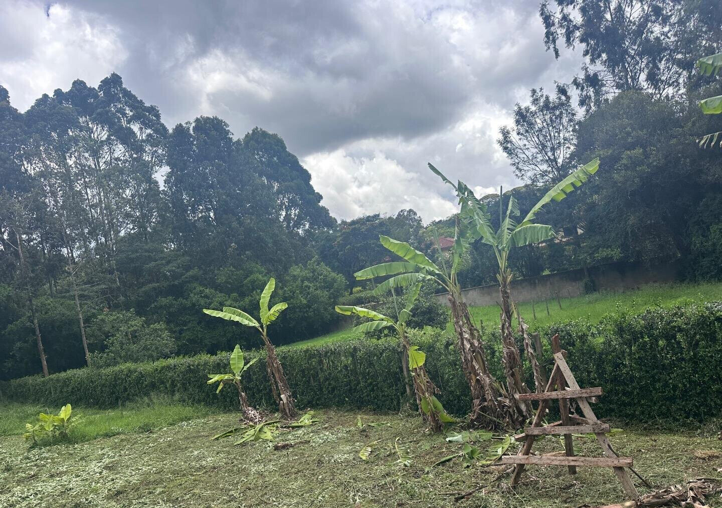 Half Acre Garden Plot at KSh 60M