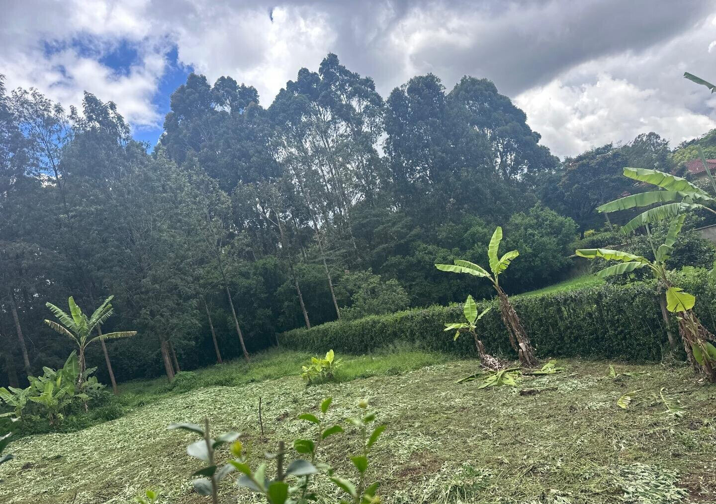 Half Acre Garden Plot at KSh 60M