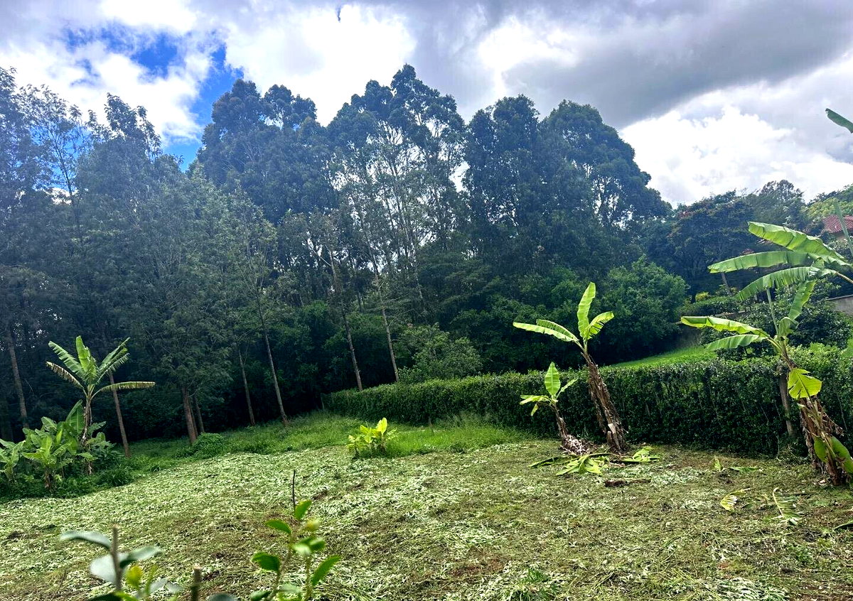 Half Acre Garden Plot at KSh 60M
