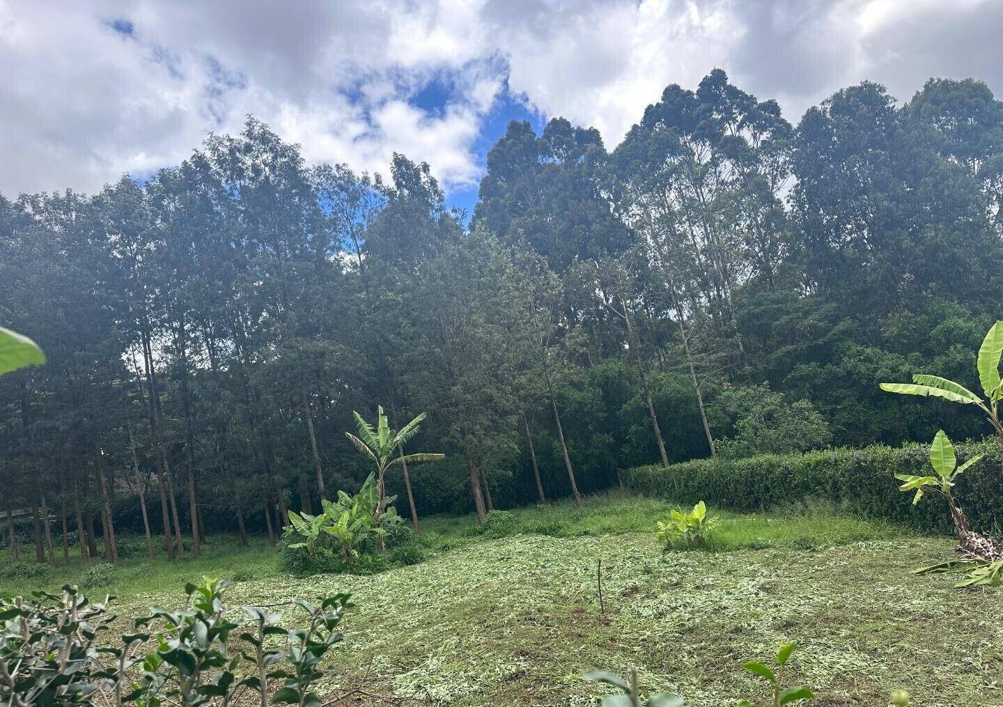 Half Acre Garden Plot at KSh 60M